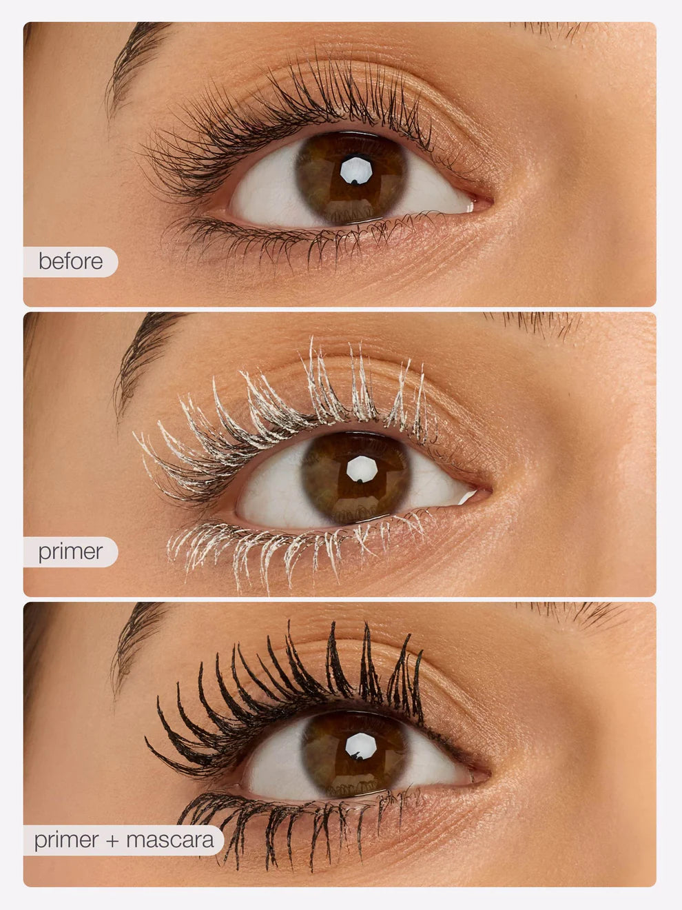 Lash Duo
